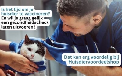 Kattenziekte, is jouw kat al geënt?