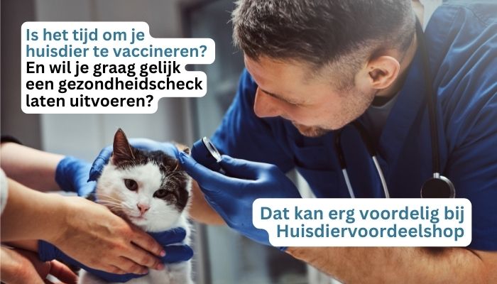 Goedkope dierenarts voor vaccinaties of een gezondheidscheck.