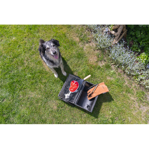 Beeztees hondenknuffels barbecue - Afbeelding 2