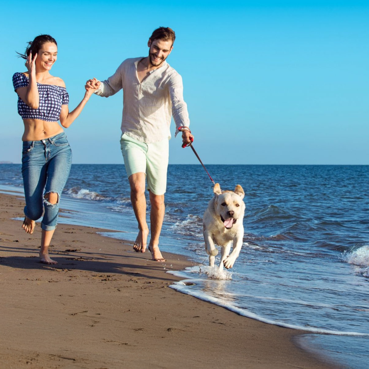 hond-vakantie-checklist-dierenwinkel