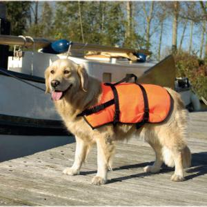 goedkoop-zwemvest-voor-honden-veiligheidsvest